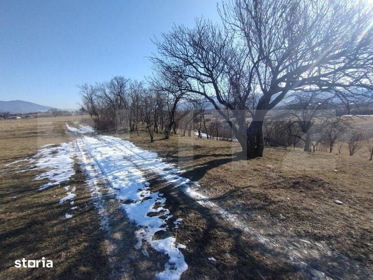 Teren de 2500 mp, în Josenii Bârgăului
