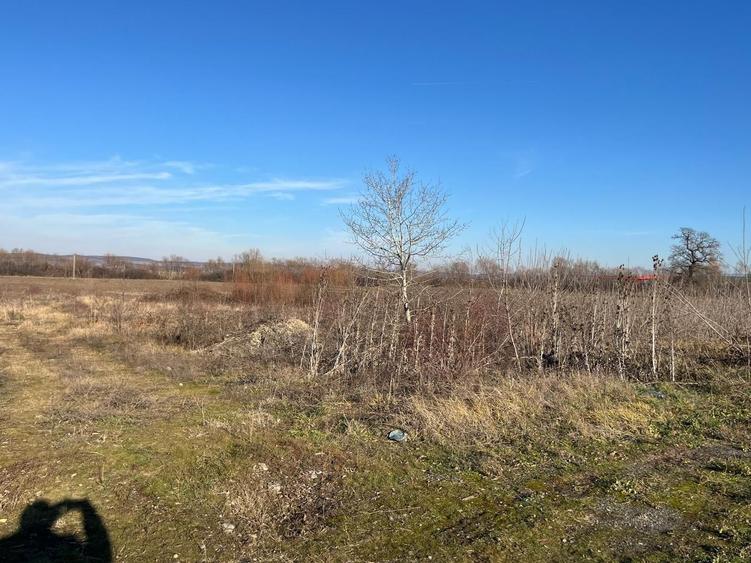 Teren Construcții intravilan de 27921 mp, în Săcădat
