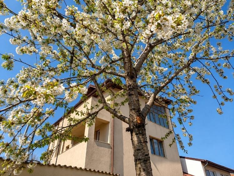 Casă individuală cu 5 camere cu Canalizare în Brâncoveanu