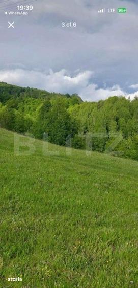 Teren de 4500 mp, în Vidra