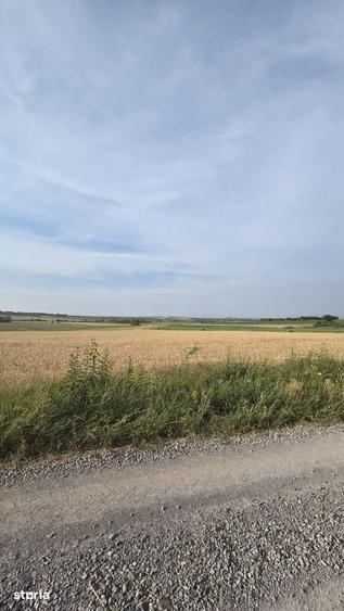 Teren de 3632 mp, în Viile Satu Mare