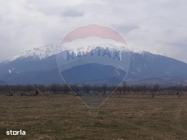 Teren de 10000 mp, în Pănicel