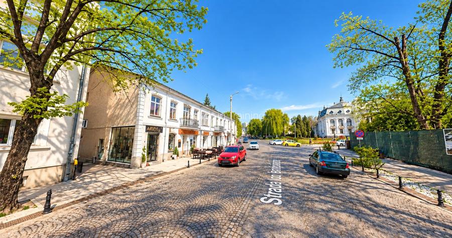 Spatiu Central- 21 mp- zona Bd. Stefan cel Mare, 21 mp. Randament >8%