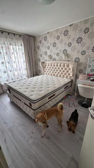 Apartament cu 2 camere decomandat, mobilat în Avantgarden