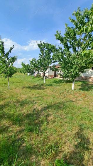 Loc de casa cu utilitati la 27 km de Bucuresti comuna Bulbucata - 5