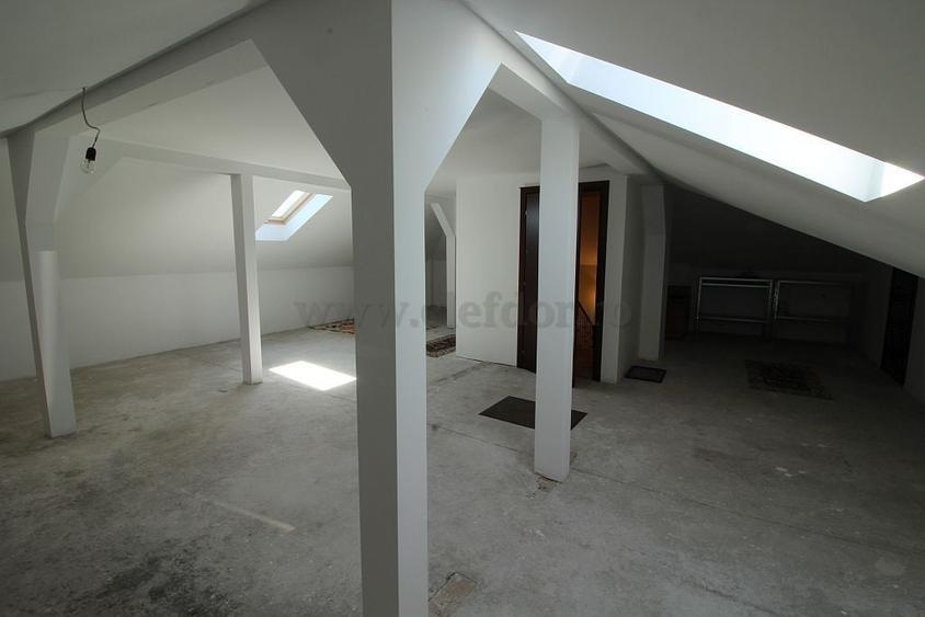 Vilă cu 5 camere de închiriat în apropere de Iancu Nicolae - 16