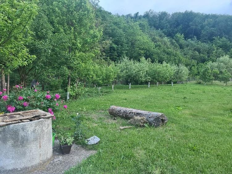 Casă cu Teren 1520 Mp în Central