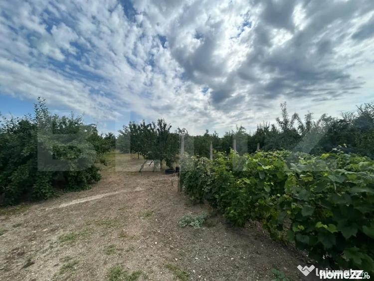Teren în Crângurile