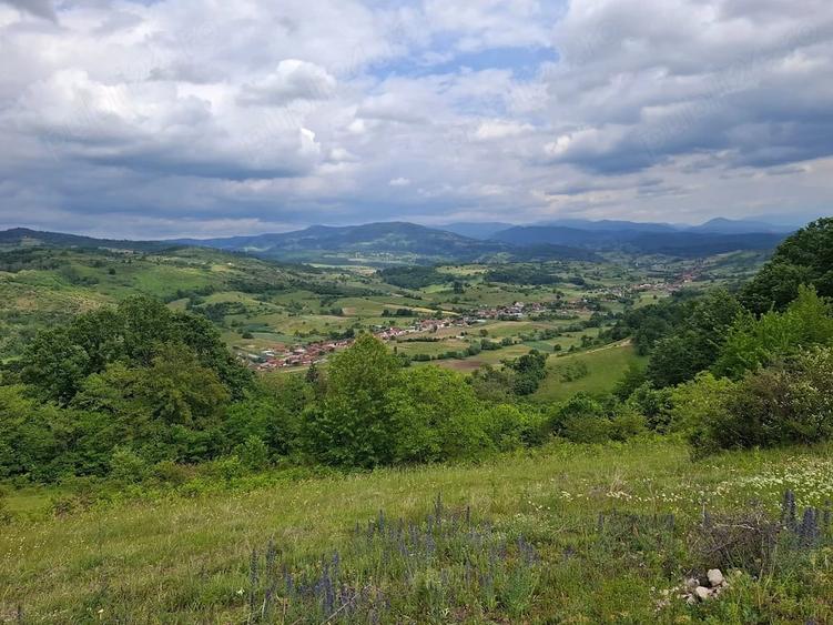 Teren de vanzare Ro?ia, Bihor - 8