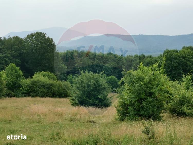 Teren de 5400 mp, în Mănești