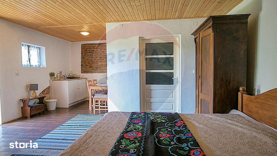 Casă cu 4 camere cu Teren 1631 Mp în Bruiu