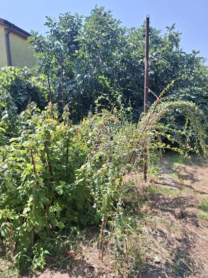 Casă individuală cu 4 camere cu Teren 400 Mp în Viile Noi
