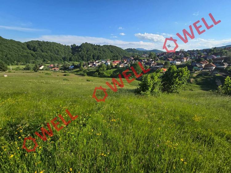 Teren extravilan de 8163 mp, în Acriș