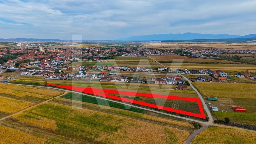 Teren Construcții intravilan de 3752 mp, în Cristian