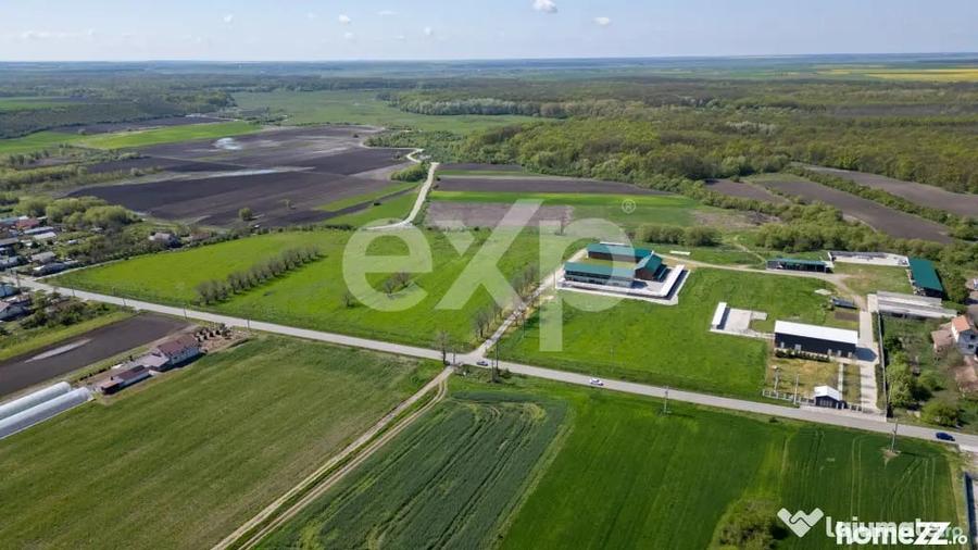 Black Angus Farm with authorized Slaughterhouse - 17