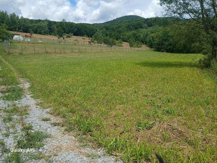 Teren de 1500 mp, în Săcădat