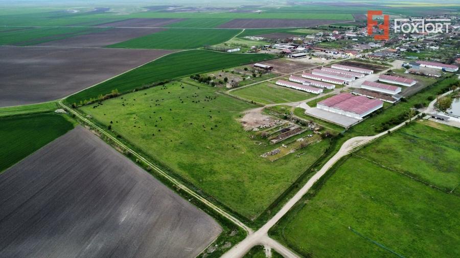 Teren Construcții intravilan de 58340 mp, în Sânmartinu Sârbesc