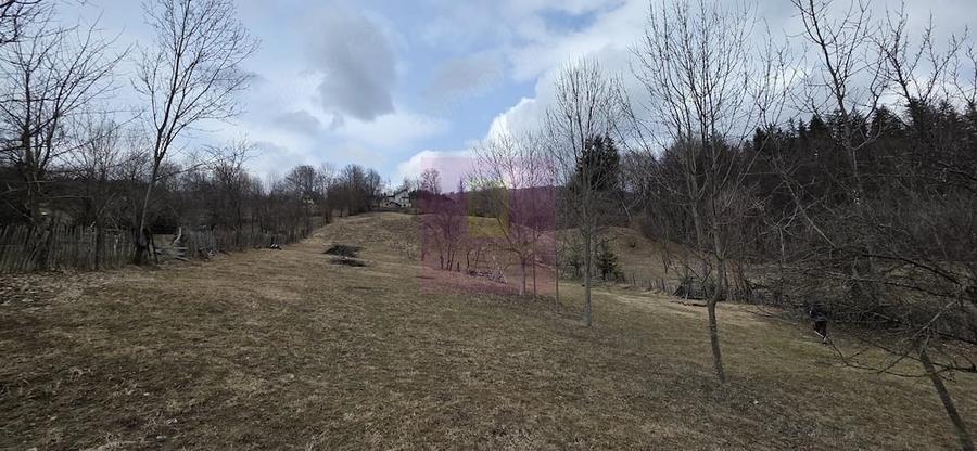 Teren de 2500 mp, în Valea Doftanei