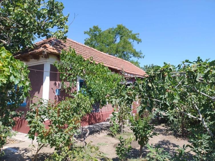Casă cu 4 camere cu Teren 2041 Mp în Siminoc
