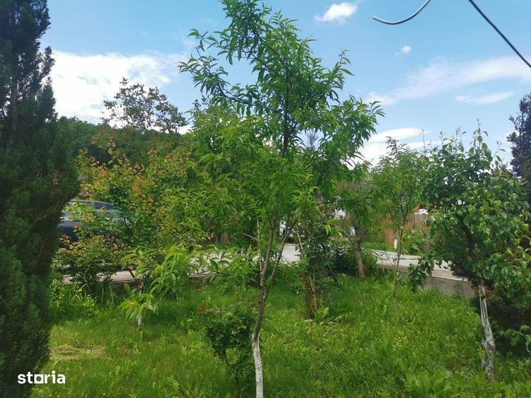 Casă cu 4 camere în Bascov