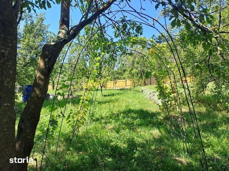 Teren de 562 mp, în Teișani