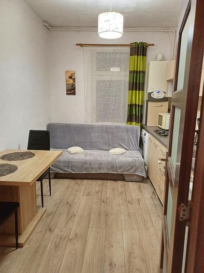 Proprietar inchiriez studio in centrul istoric, pet friendly - 4