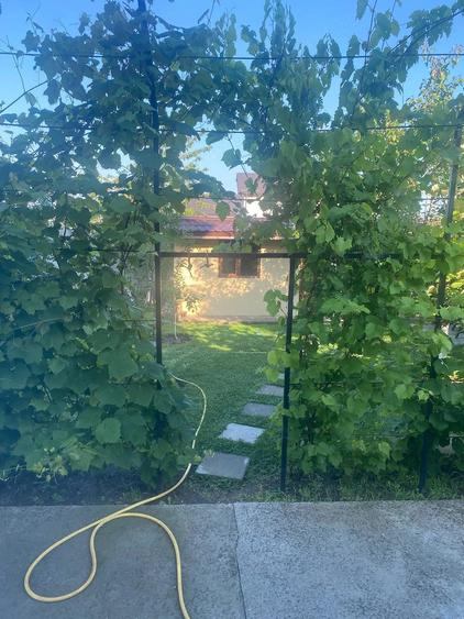 Casă cu Teren 656 Mp în Ciorogârla