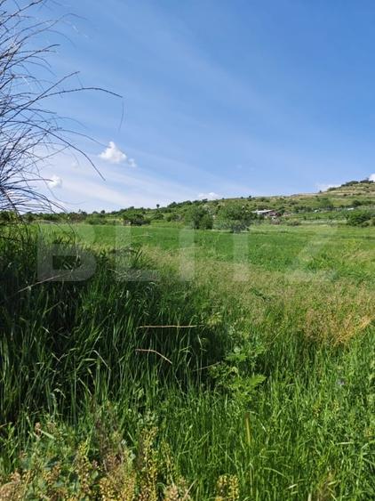 Teren agricol intravilan de 4800 mp, în Nord