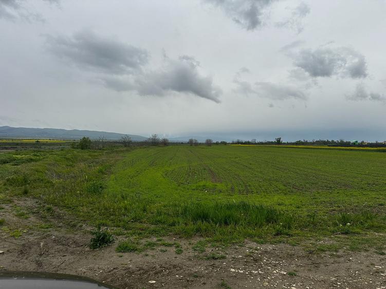 Teren Construcții extravilan de 2500 mp, în Câmpineanca