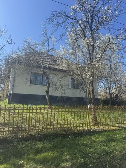 Casa si teren(35 arii) de vanzare la 40 km de Baia Mare - 8