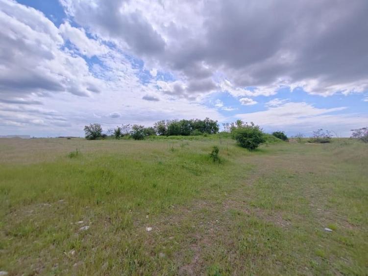 Teren de 114000 mp, în Ariceștii Rahtivani