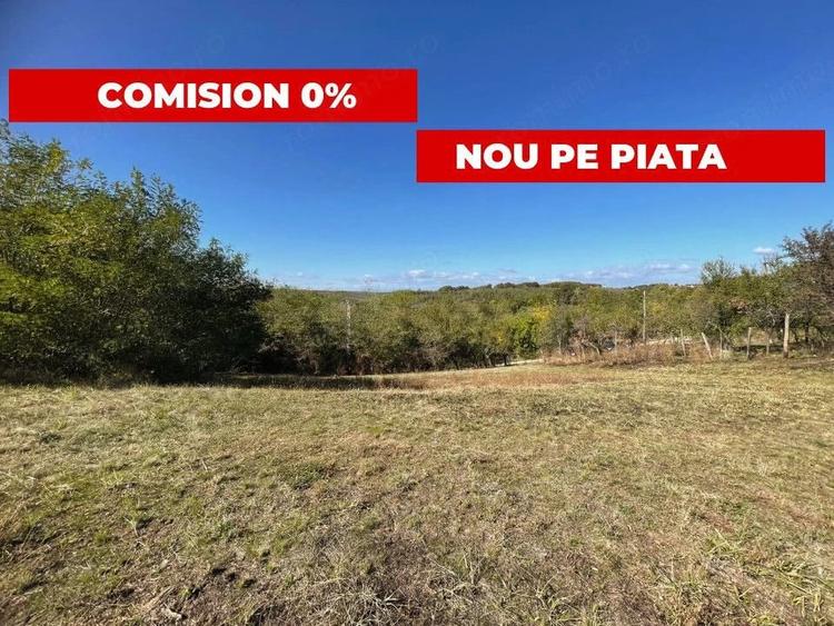 Teren de 5000 mp, în Băbana