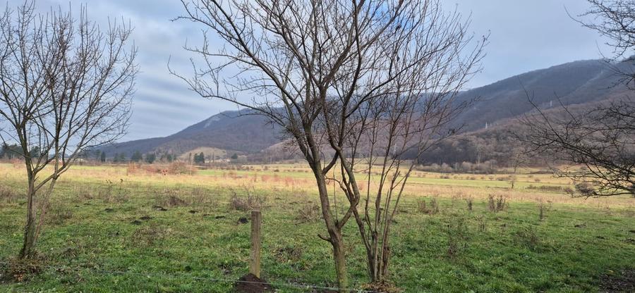 Teren intravilan de 5200 mp, în Cristian