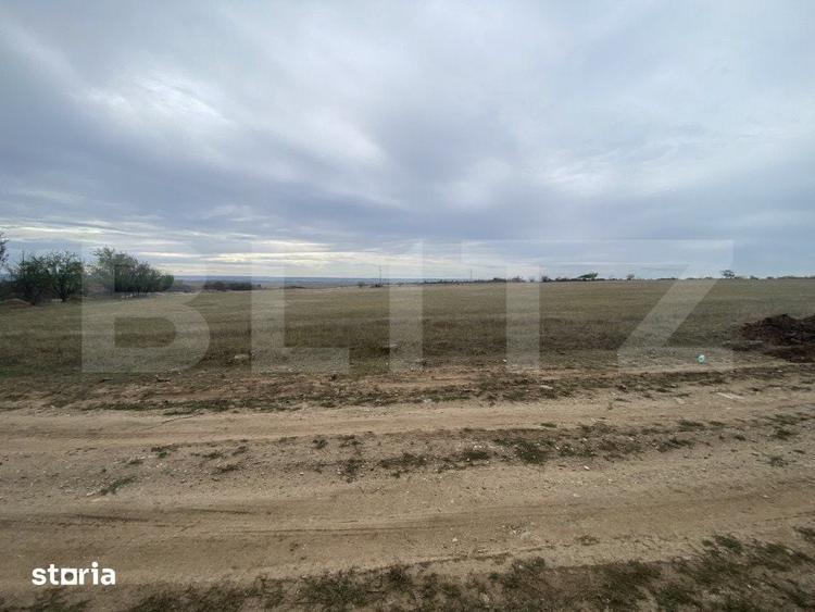 Teren de 15000 mp, în Coșoveni