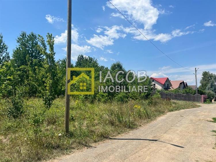 Teren Construcții intravilan de 5165 mp, în Narcisa