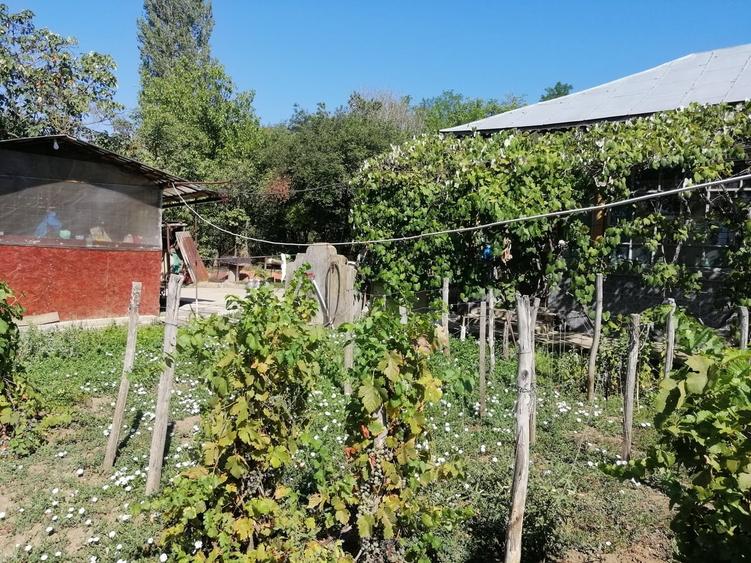 Casă cu 6 camere cu Teren 2800 Mp în Central