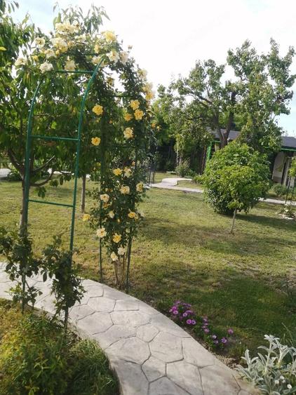 Casă cu Teren 1457 Mp în Rudna