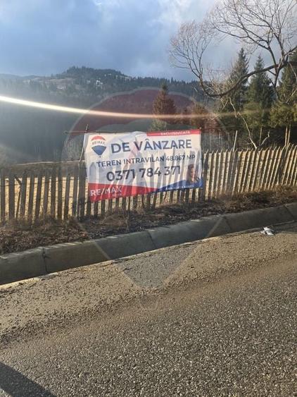 Teren intravilan de 49000 mp, în Borca