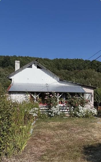 Casa Locuibila complet utilata Samburesti Olt + 2800 mp teren si livada