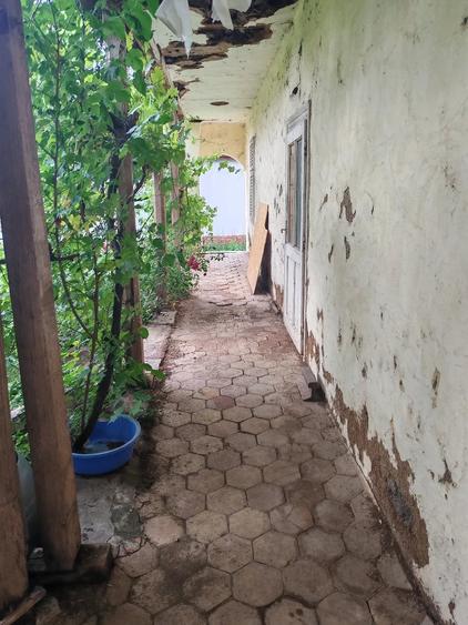Casă cu Teren 3415 Mp în Pișchia