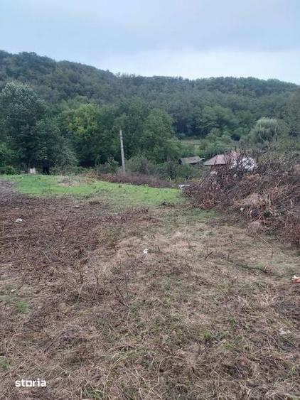 Teren de 2400 mp, în Vâlcea