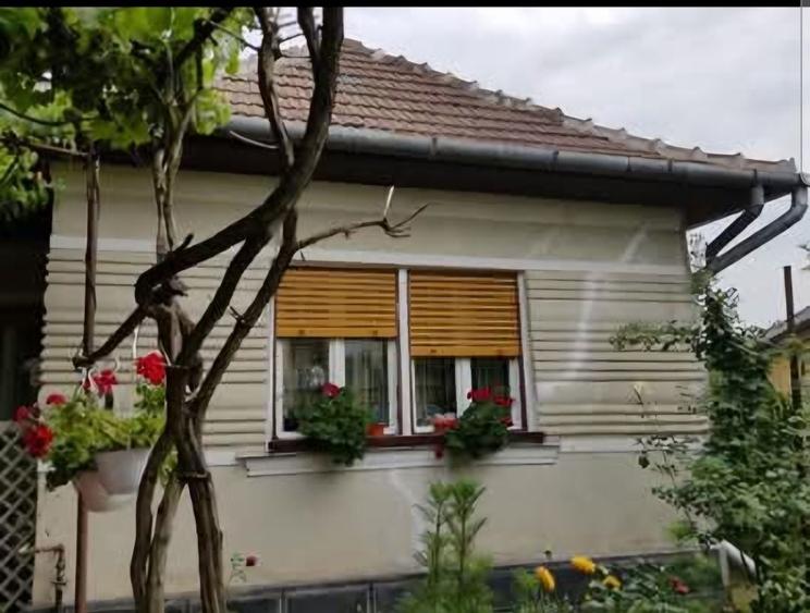 Casă cu 3 camere în Central