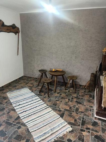 Casă cu Teren 2000 Mp în Bujoreni