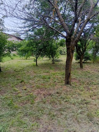 Casă individuală cu 5 camere cu Canalizare în Buftea