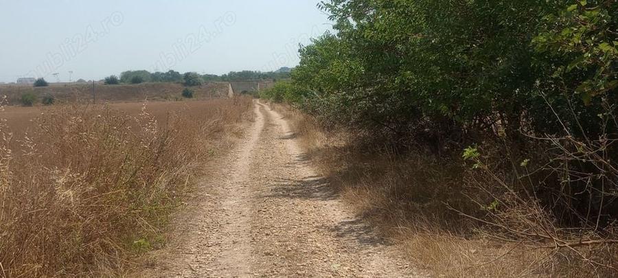 Teren de 8400 mp, în Sud
