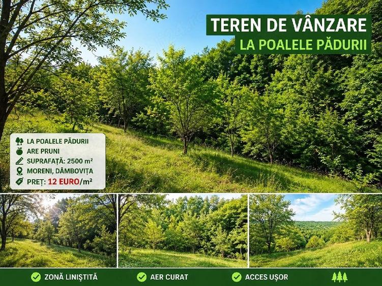 Teren de 2500 mp, în Central