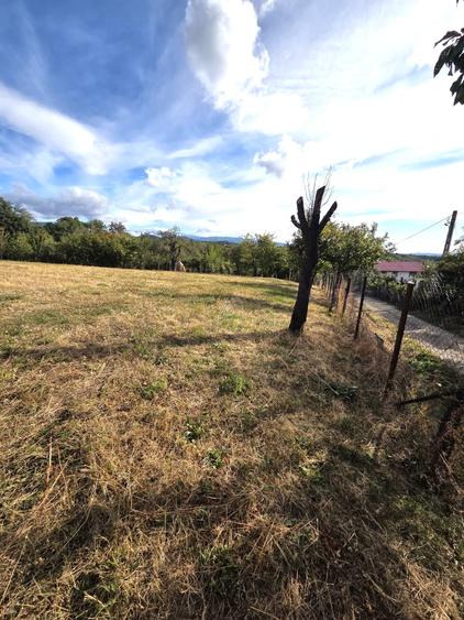 Teren Construcții intravilan de 3855 mp, în Horezu