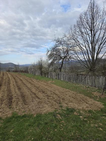 Casă cu Teren 932 Mp în Cracu Muntelui