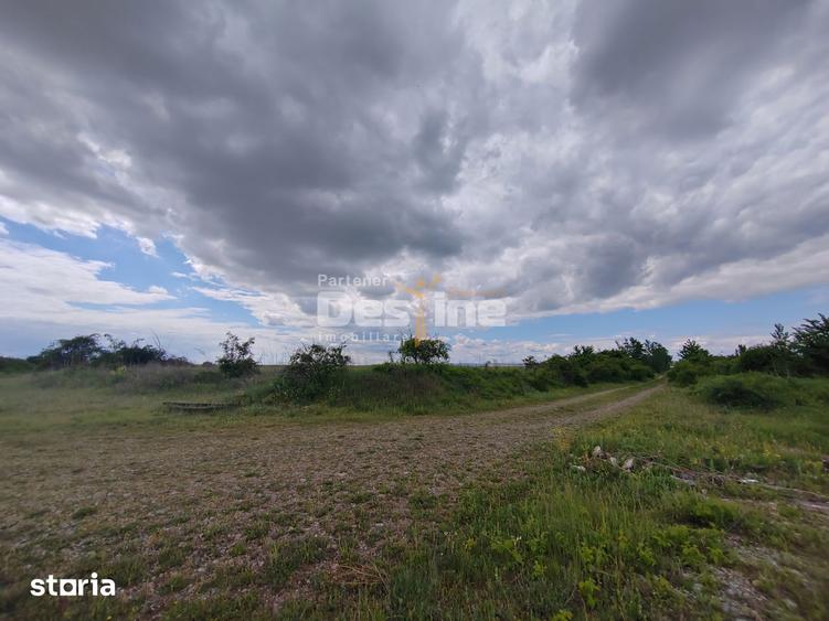 Teren de 114000 mp, în Ariceștii Rahtivani