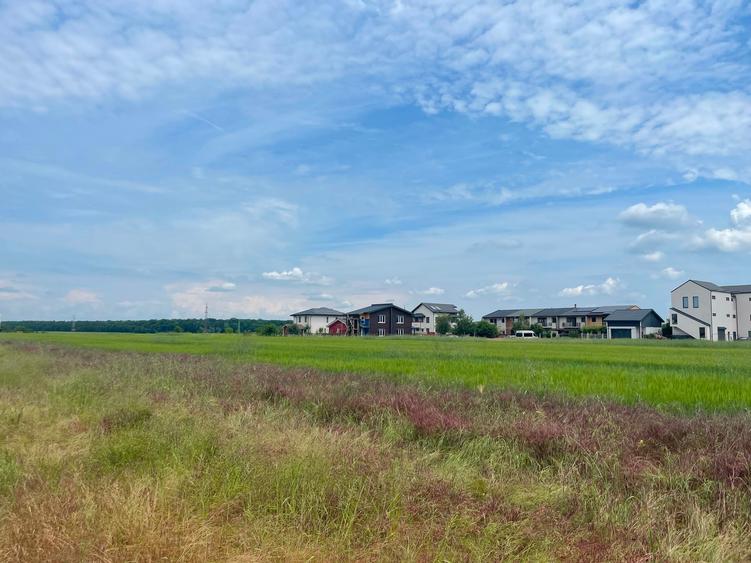 Teren Construcții intravilan de 22000 mp, în Dumbrăveni